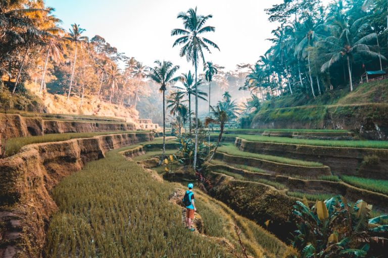 Unlocking the World: How Influencer Travel Services Can Transform Your Adventures